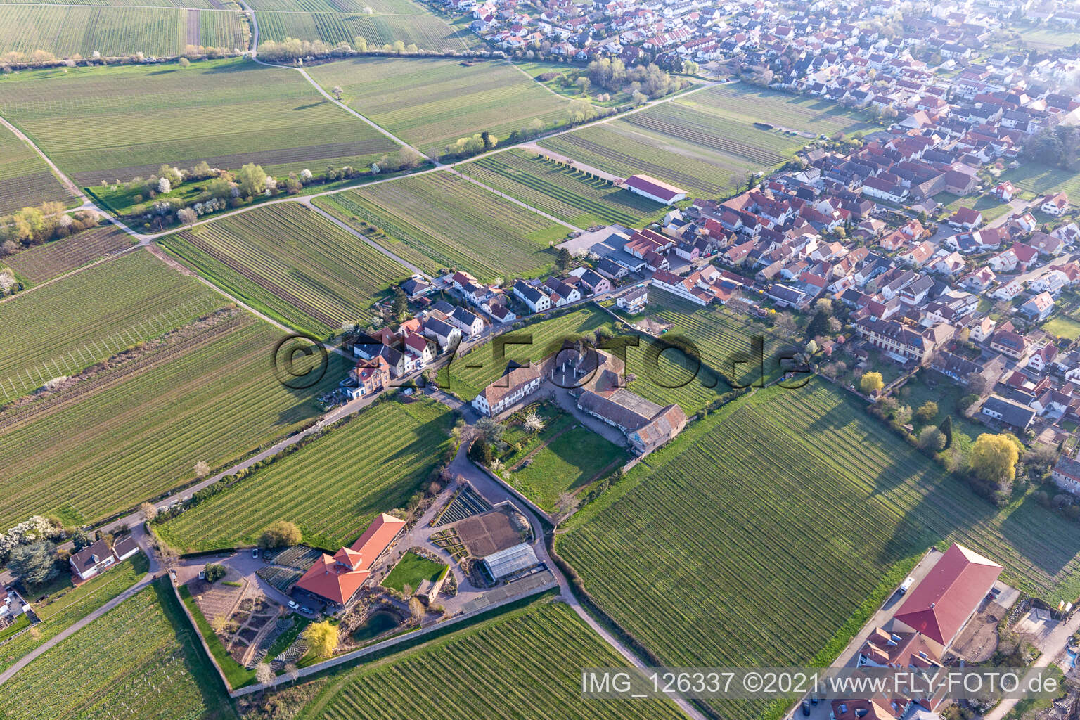 Oblique view of Edenkoben in the state Rhineland-Palatinate, Germany