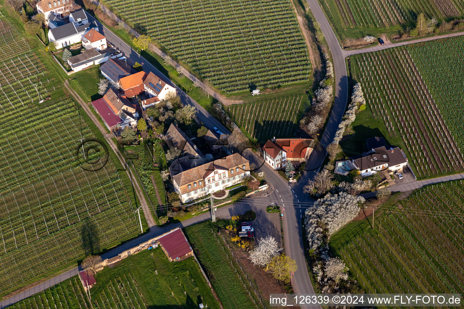 Buildings mansion Meistersinger in Edenkoben in the state Rhineland-Palatinate, Germany