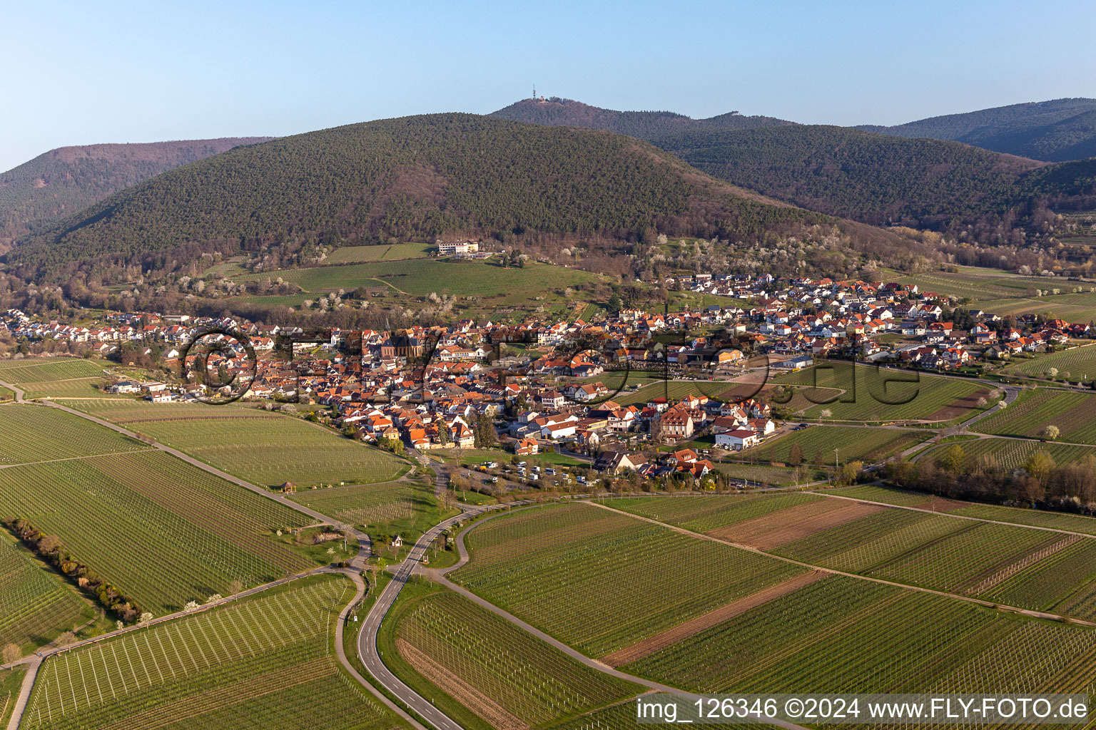 Village - view on the edge of agricultural fields and farmland in spring time in Sankt Martin in the state Rhineland-Palatinate, Germany