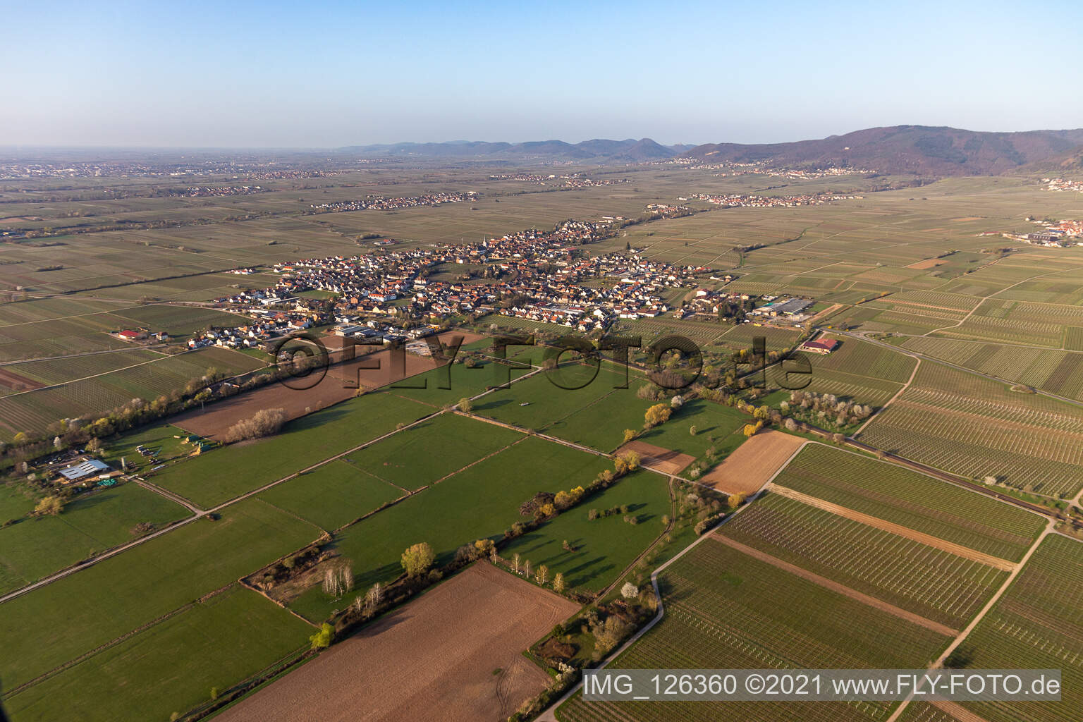 Bird's eye view of Edesheim in the state Rhineland-Palatinate, Germany