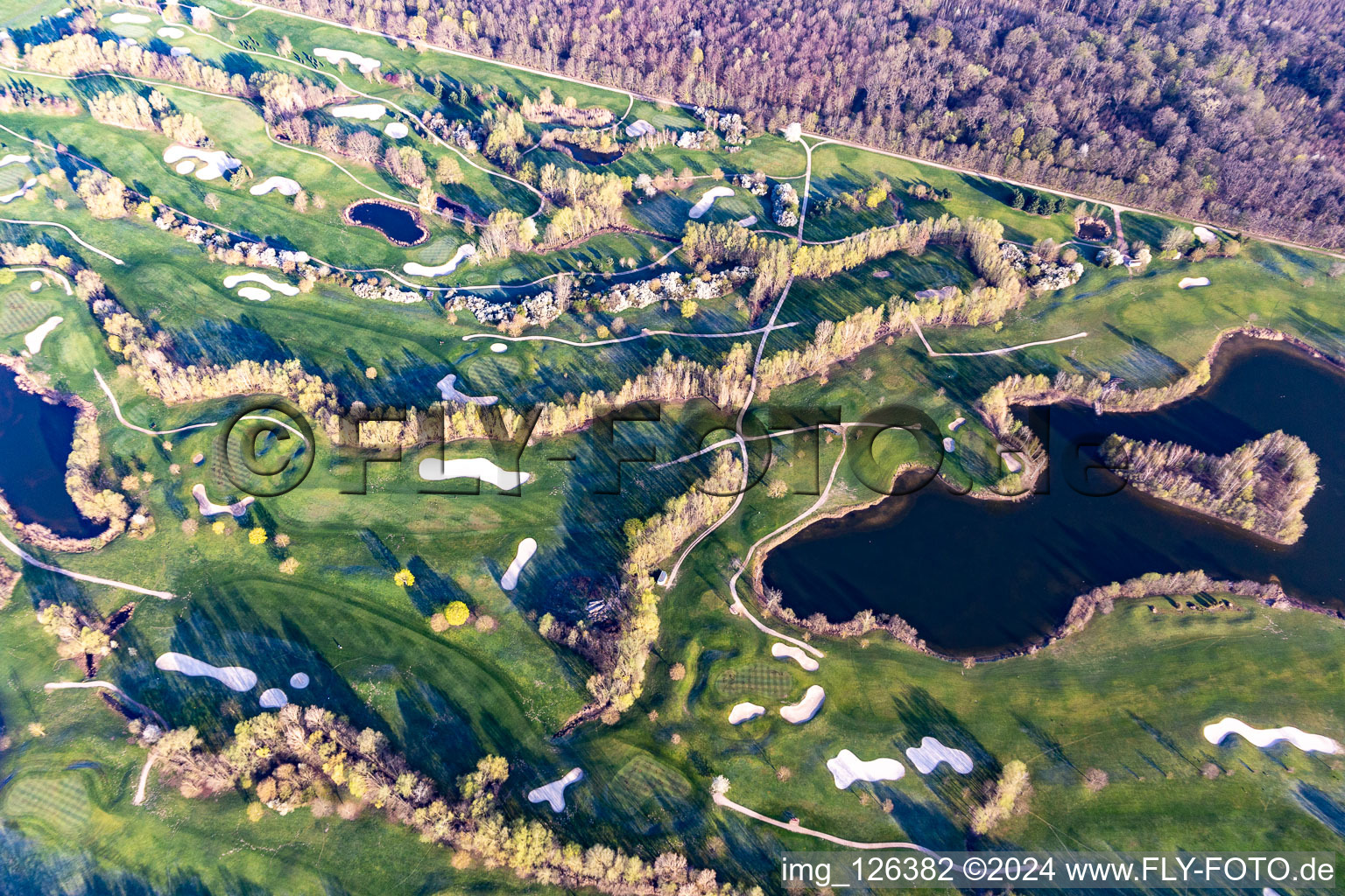 Aerial view of Blooming trees in the spring on the grounds of the Golf course at Landgut Dreihof GOLF absolute in Essingen in the state Rhineland-Palatinate