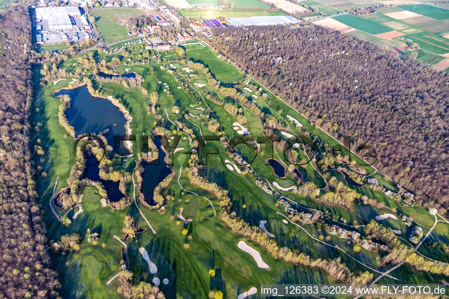 Aerial photograpy of Blooming trees in the spring on the grounds of the Golf course at Landgut Dreihof GOLF absolute in Essingen in the state Rhineland-Palatinate