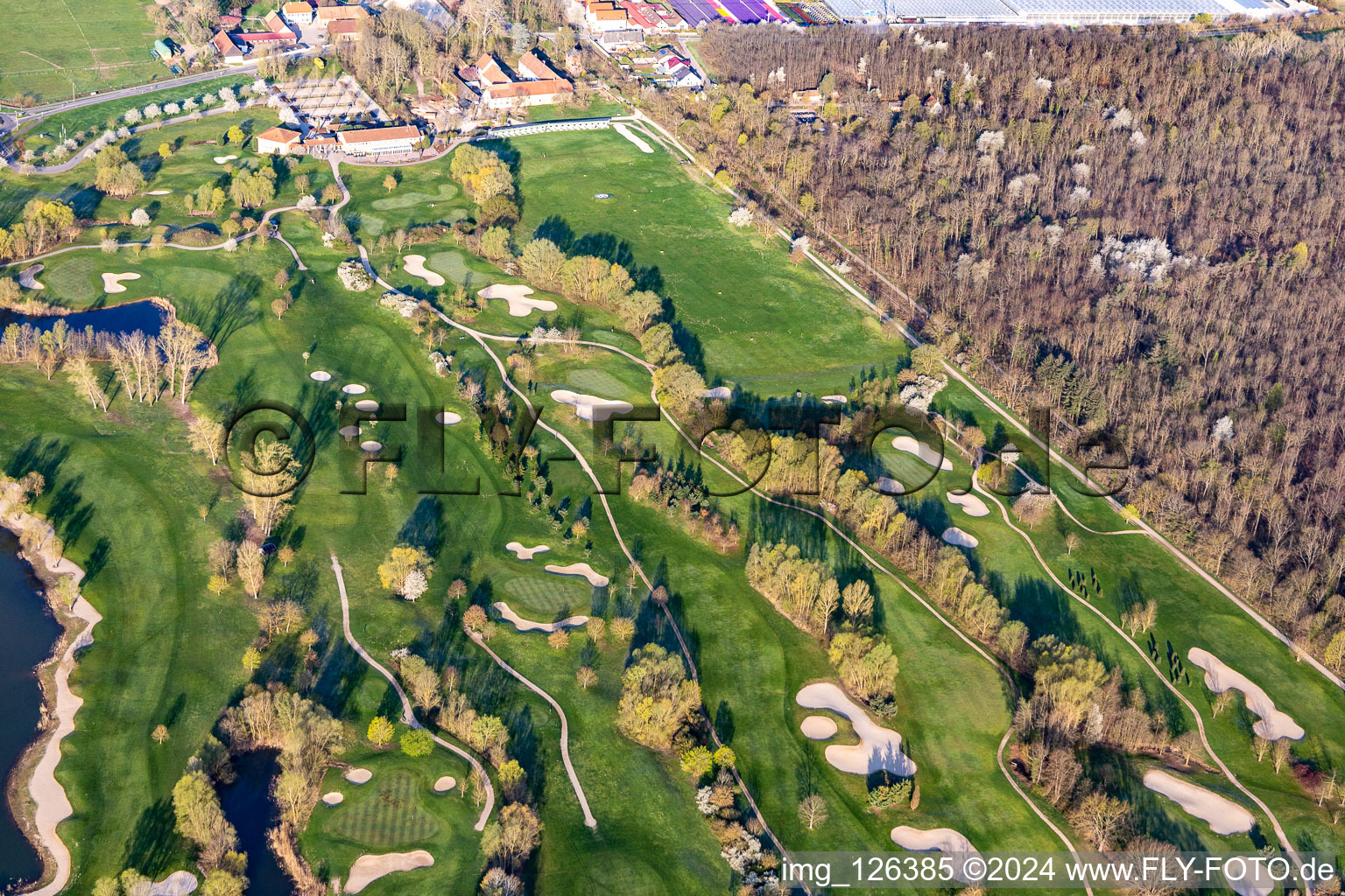 Oblique view of Blooming trees in the spring on the grounds of the Golf course at Landgut Dreihof GOLF absolute in Essingen in the state Rhineland-Palatinate