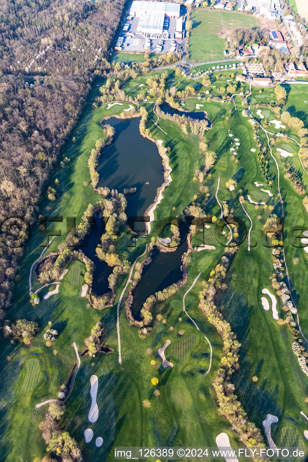 Blooming trees in the spring on the grounds of the Golf course at Landgut Dreihof GOLF absolute in Essingen in the state Rhineland-Palatinate from the plane