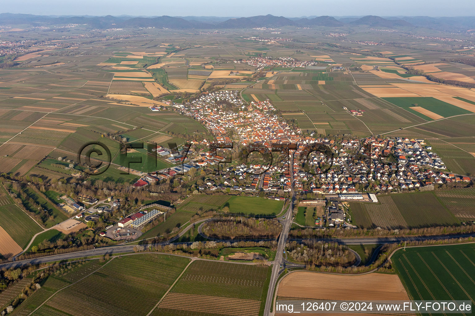 Village view in Insheim in the state Rhineland-Palatinate, Germany