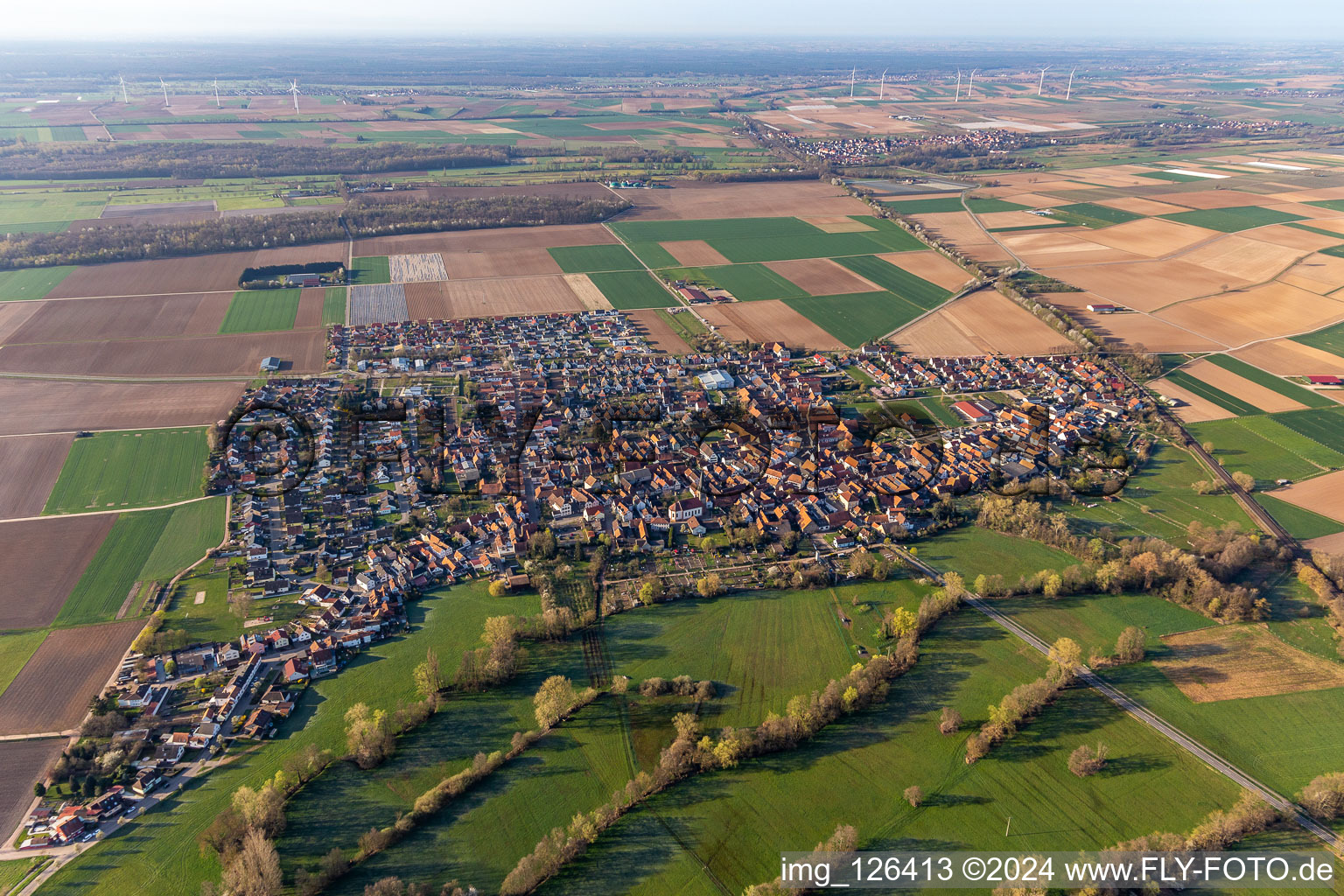 Steinweiler in the state Rhineland-Palatinate, Germany from a drone