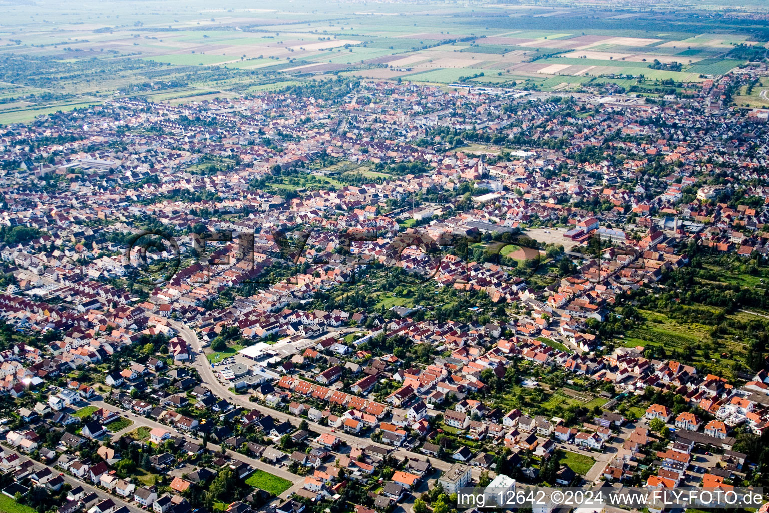 Bird's eye view of Haßloch in the state Rhineland-Palatinate, Germany