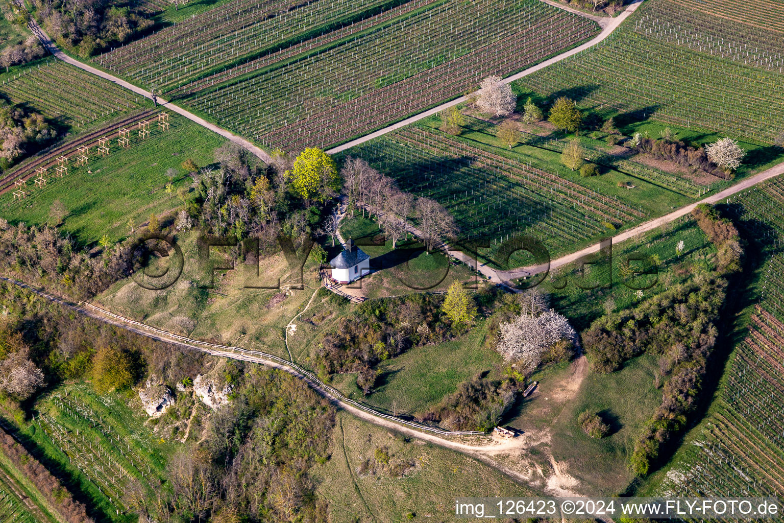 Oblique view of "Kleine Kalmit" chapel in the Kleine Kalmit nature reserve on Easter morning with spring bloom in Ilbesheim bei Landau in der Pfalz in the state Rhineland-Palatinate