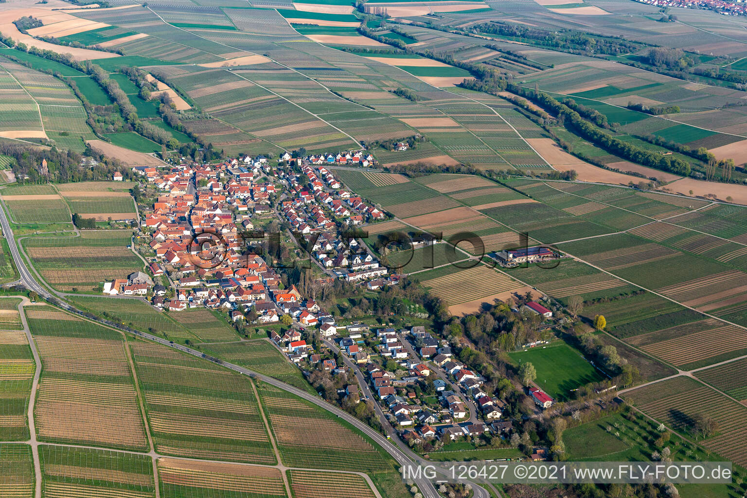Agricultural land and field borders surround the settlement area of the village in Wollmesheim in the state Rhineland-Palatinate, Germany seen from a drone