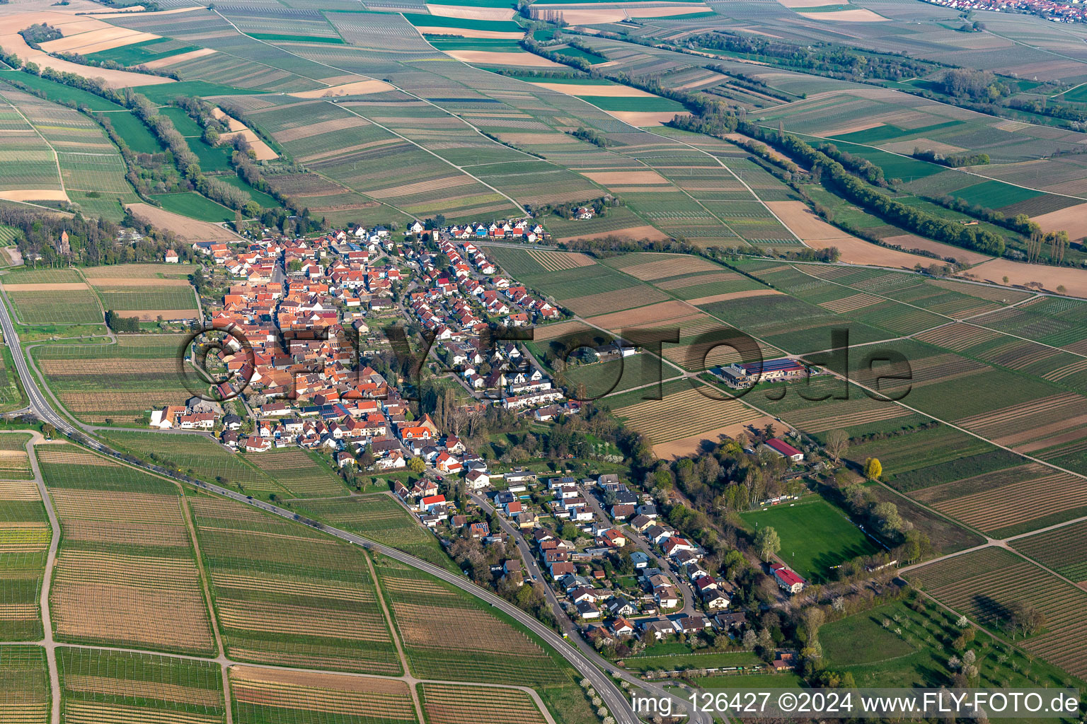 Agricultural land and field borders surround the settlement area of the village in Wollmesheim in the state Rhineland-Palatinate, Germany seen from a drone