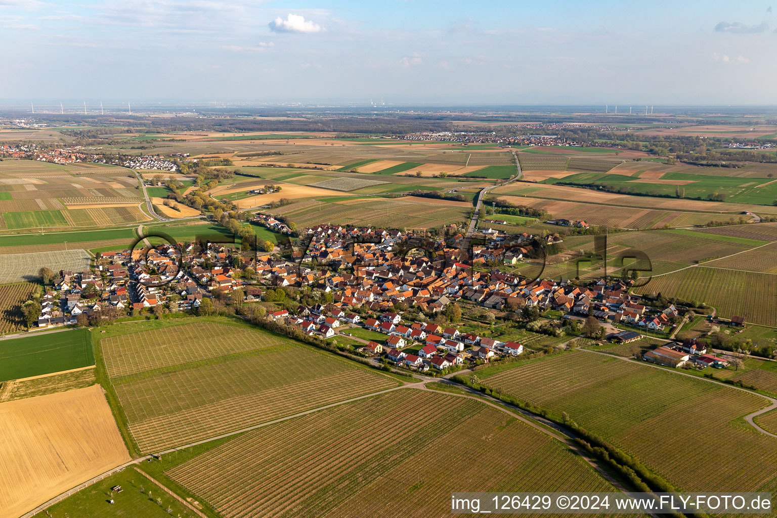 Oblique view of Village - view on the edge of agricultural fields and farmland in Impflingen in the state Rhineland-Palatinate, Germany