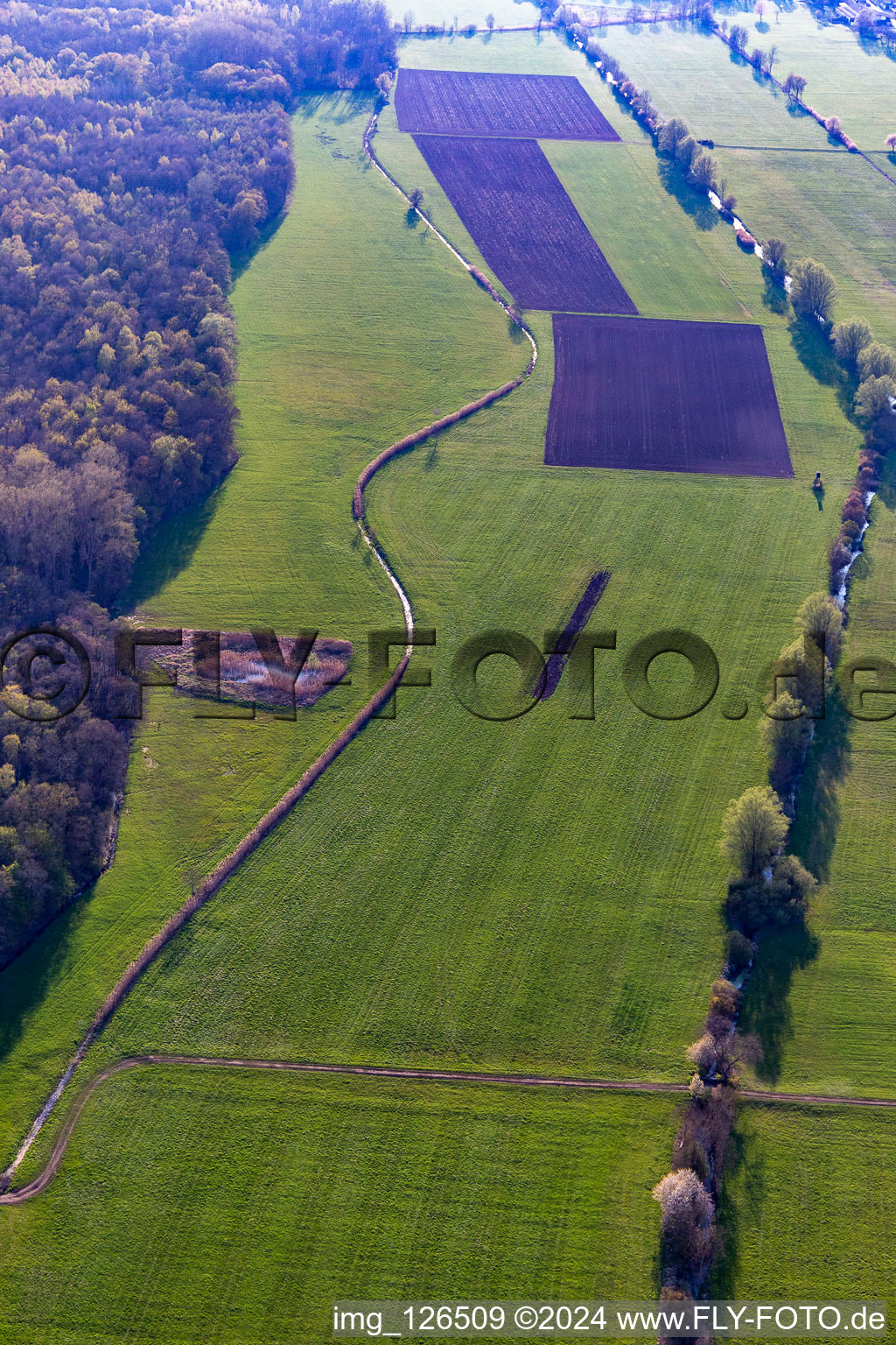 Drone image of District Minderslachen in Kandel in the state Rhineland-Palatinate, Germany