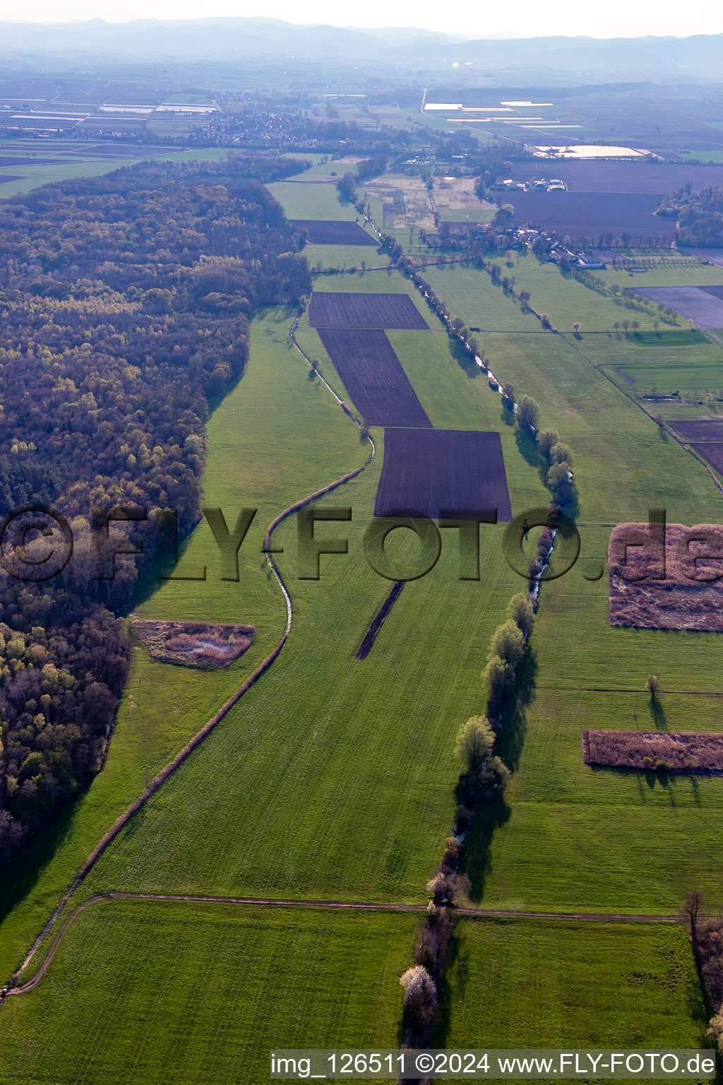 Steinweiler in the state Rhineland-Palatinate, Germany seen from a drone