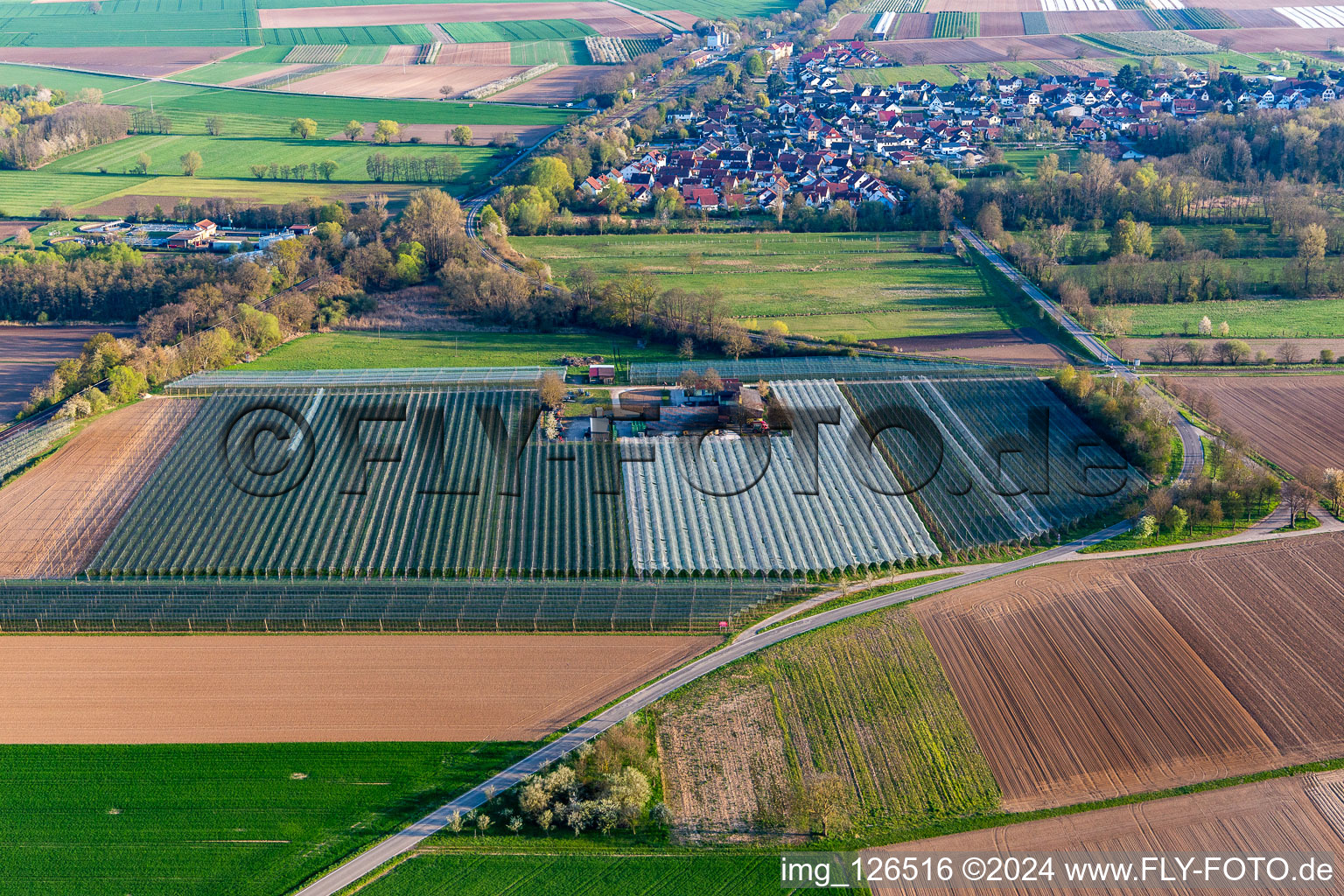 Steinweiler in the state Rhineland-Palatinate, Germany from above