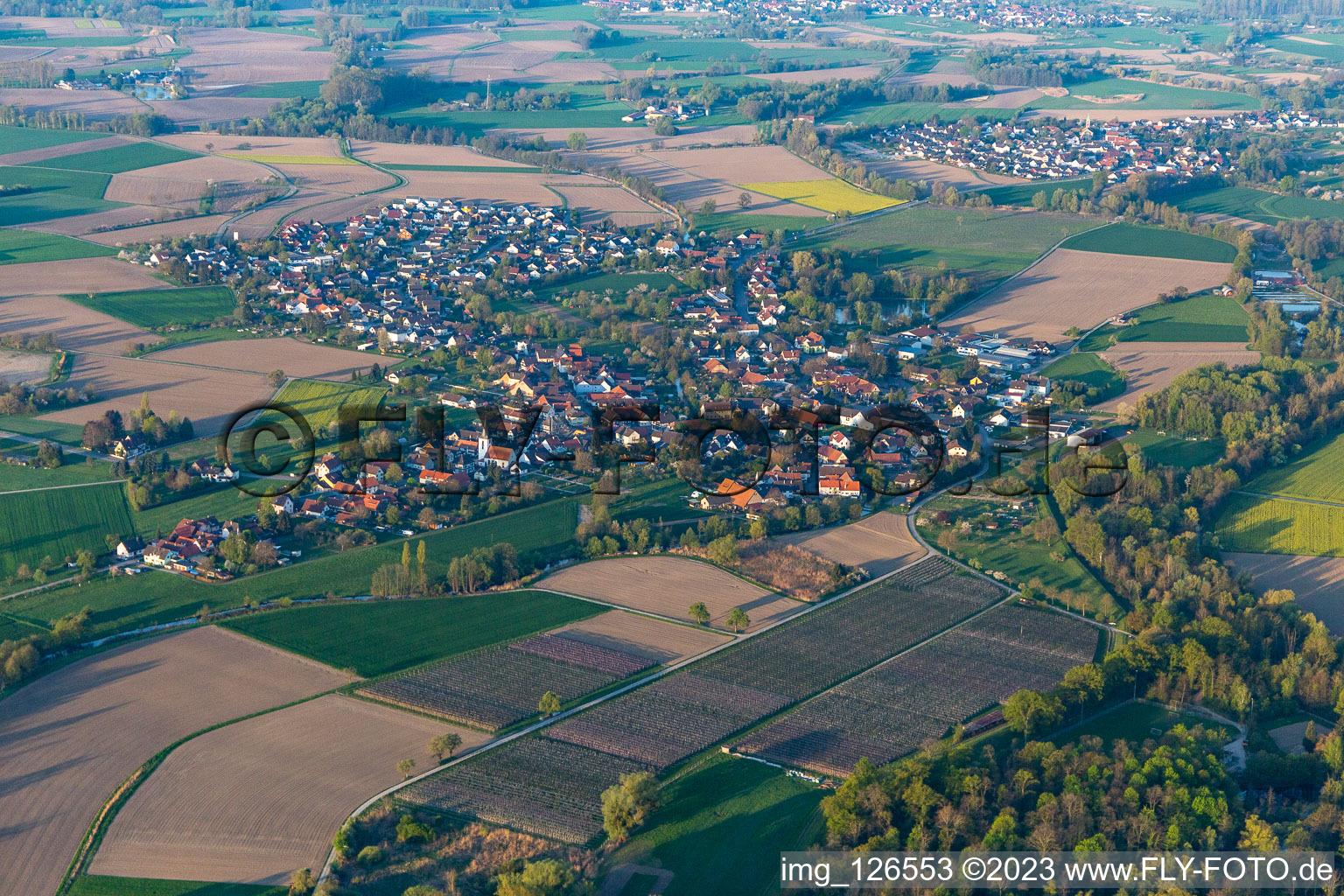Aerial view of District Diersheim in Rheinau in the state Baden-Wuerttemberg, Germany