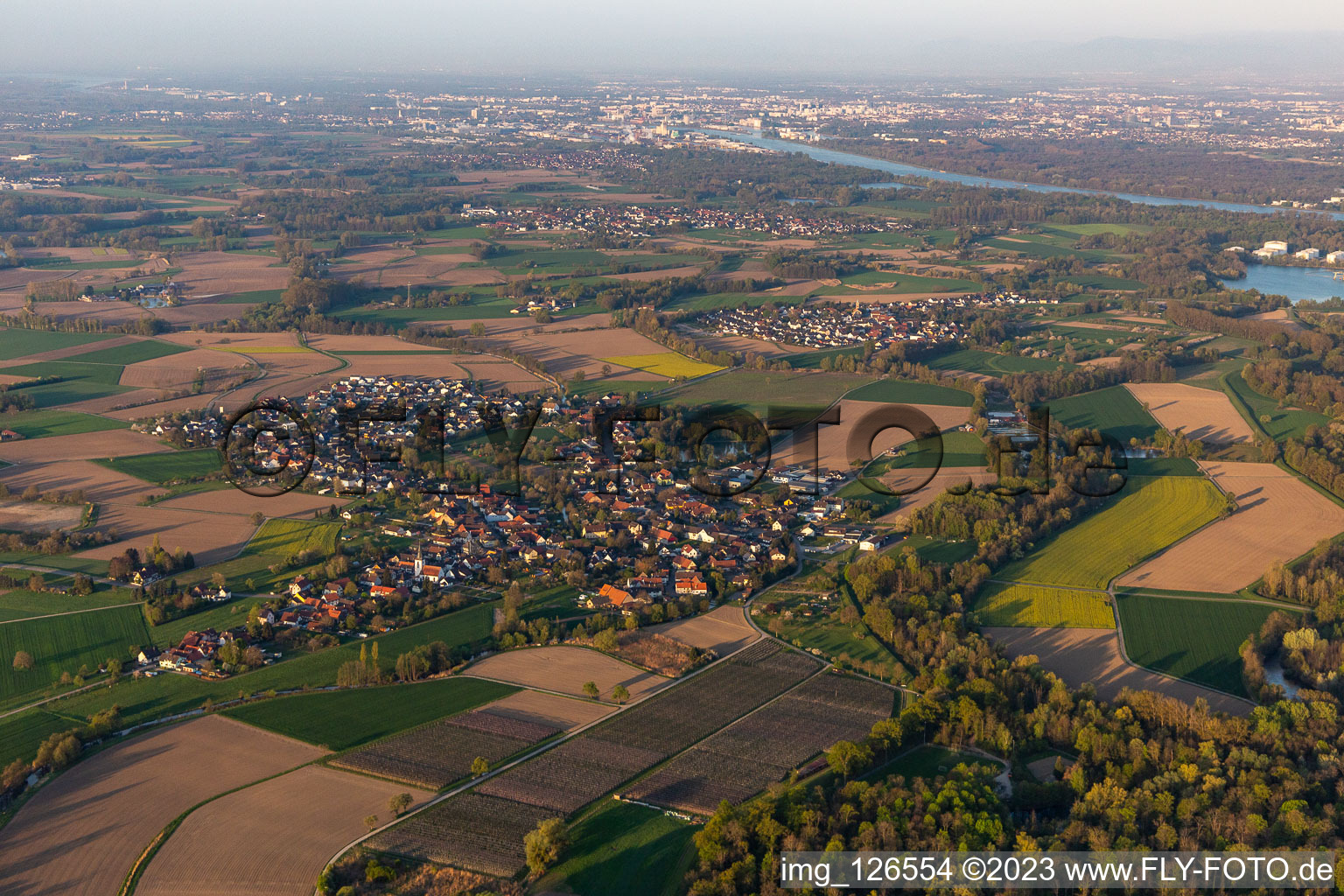 Aerial view of Village on the river bank areas of the Rhine river in Diersheim in the state Baden-Wurttemberg, Germany