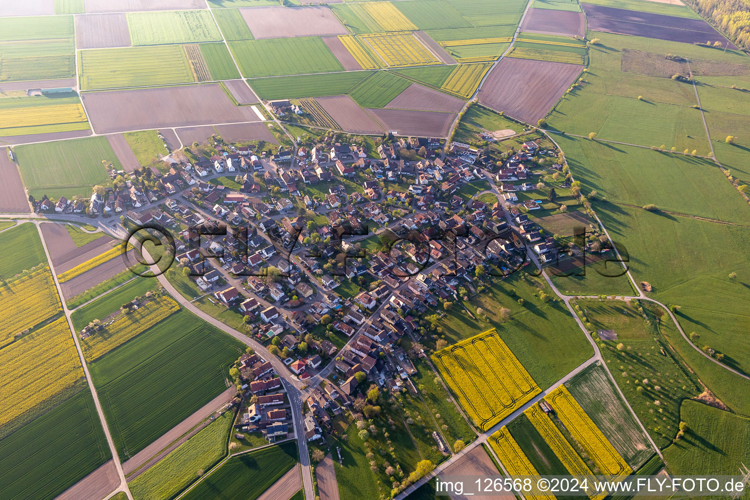 Agricultural land and field boundaries surround the settlement area of the village in Hoefen in the state Baden-Wuerttemberg, Germany