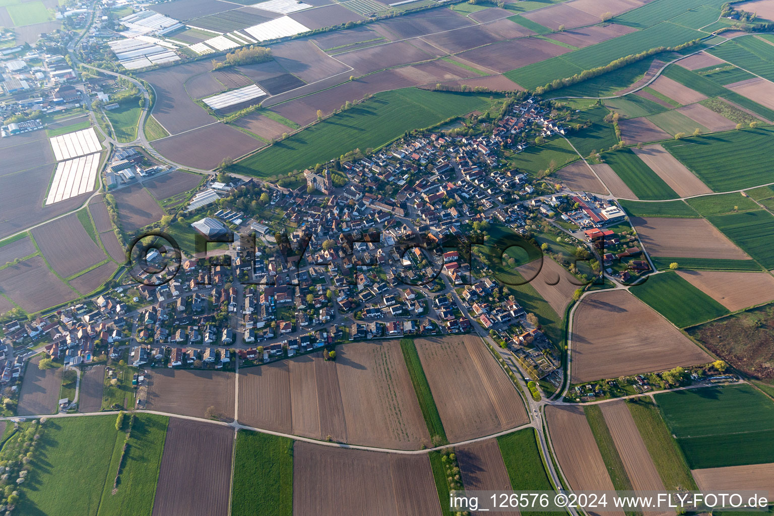 Aerial view of Agricultural land and field boundaries surround the settlement area of the village in Schuttern in the state Baden-Wuerttemberg, Germany