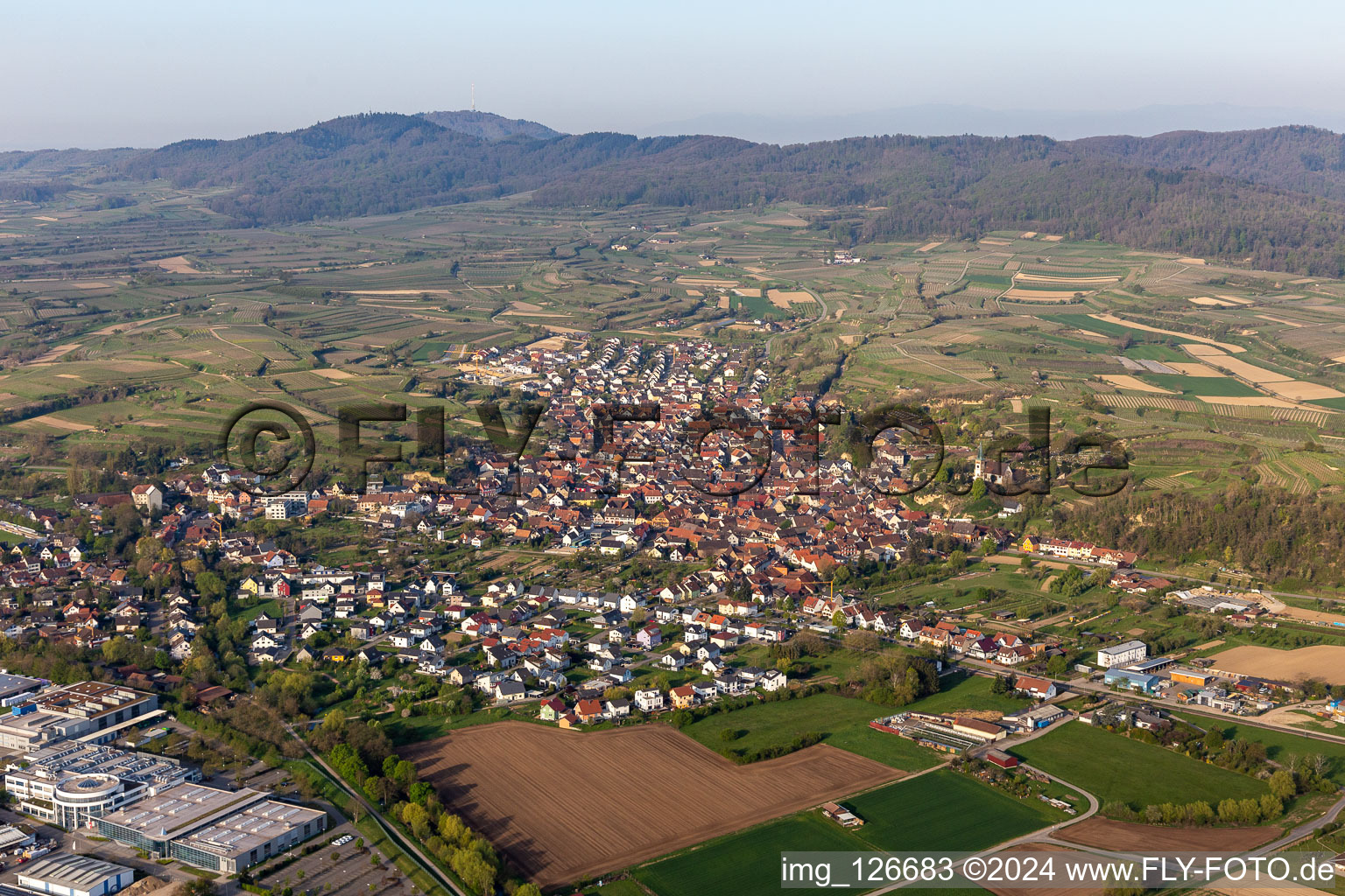 Aerial view of Fields of wine cultivation landscape in Bahlingen im Kaiserstuhl in the state Baden-Wurttemberg, Germany