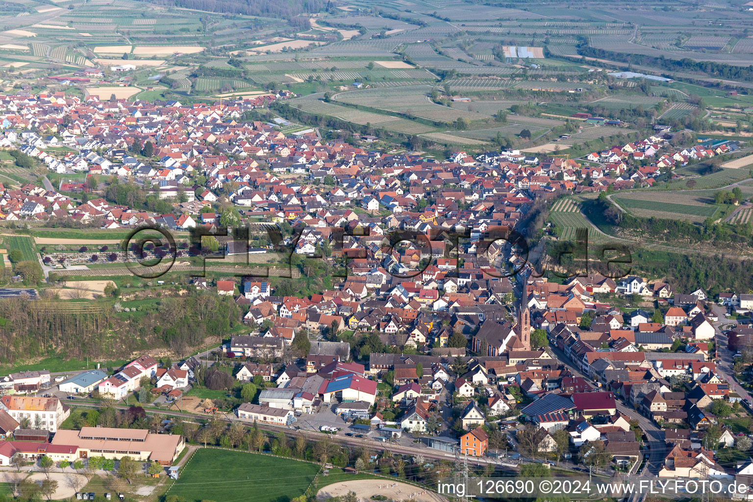 Oblique view of Eichstetten am Kaiserstuhl in the state Baden-Wuerttemberg, Germany