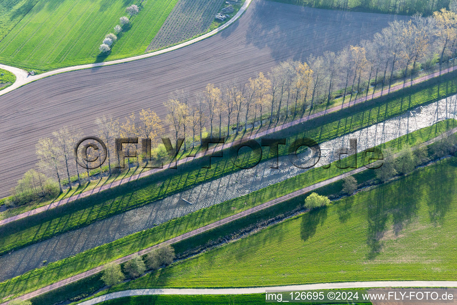 Threesome in the district Buchheim in March in the state Baden-Wuerttemberg, Germany