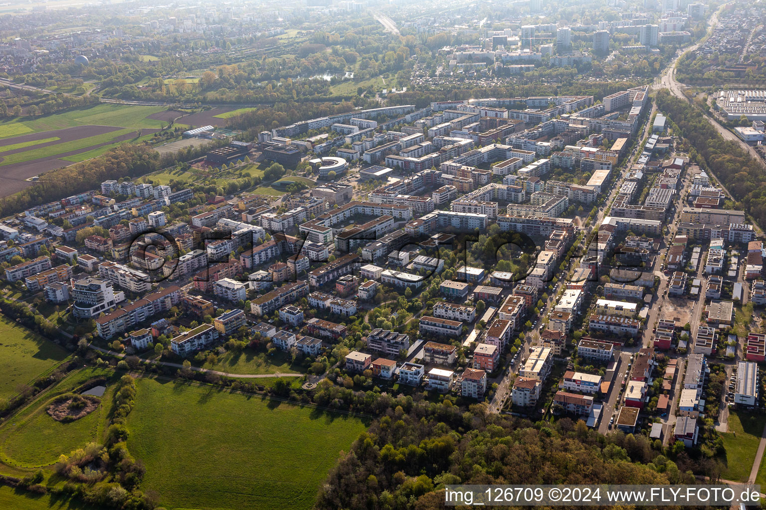 Outskirts residential in the district Rieselfeld in Freiburg im Breisgau in the state Baden-Wuerttemberg, Germany