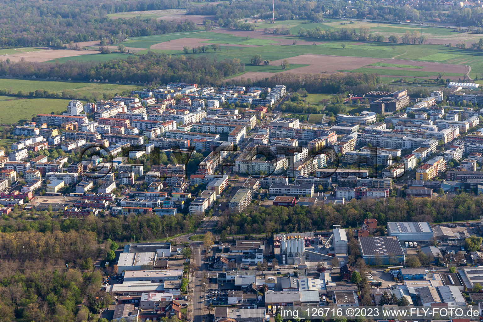 Aerial view of Outskirts residential in the district Rieselfeld in Freiburg im Breisgau in the state Baden-Wuerttemberg, Germany