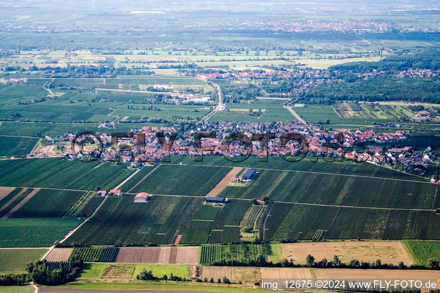 Alsheim-Gronau in the state Rhineland-Palatinate, Germany seen from above