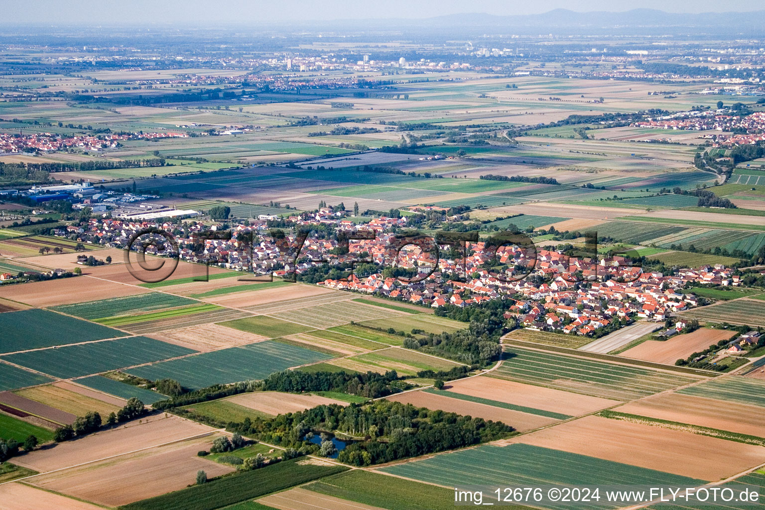 Town View of the streets and houses of the residential areas in Dannstadt-Schauernheim in the state Rhineland-Palatinate