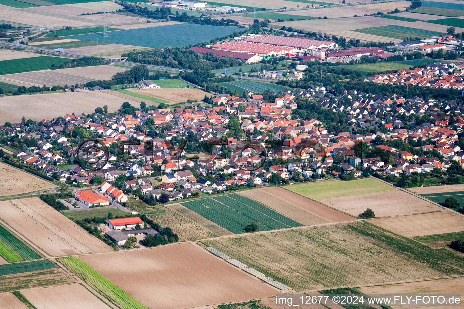 Aerial view of Town View of the streets and houses of the residential areas in the district Schauernheim in Dannstadt-Schauernheim in the state Rhineland-Palatinate