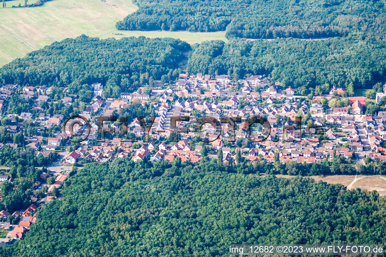 Oblique view of Ellerstadt in the state Rhineland-Palatinate, Germany