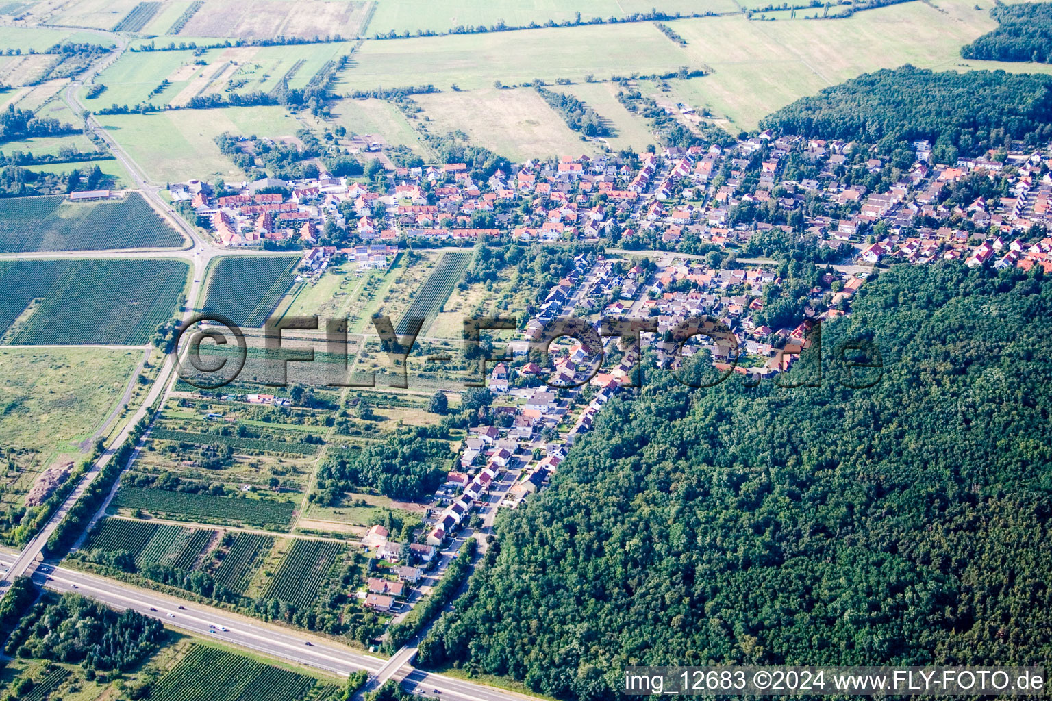 Ellerstadt in the state Rhineland-Palatinate, Germany from above