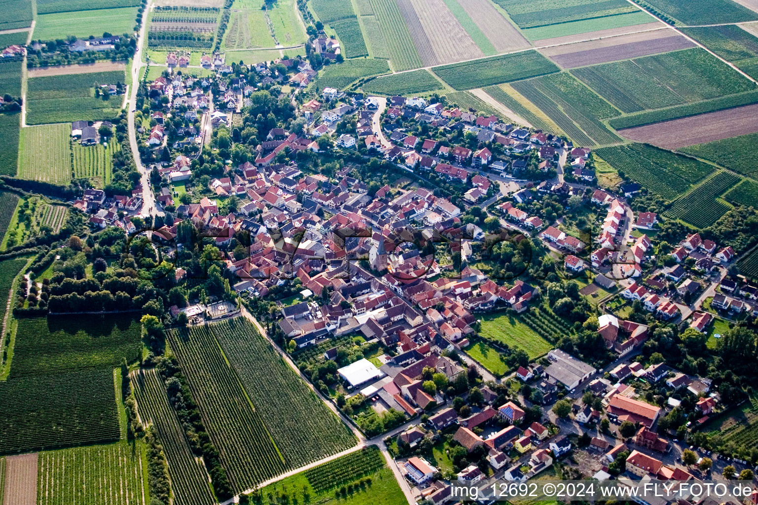 Aerial view of Großkarlbach in the state Rhineland-Palatinate, Germany