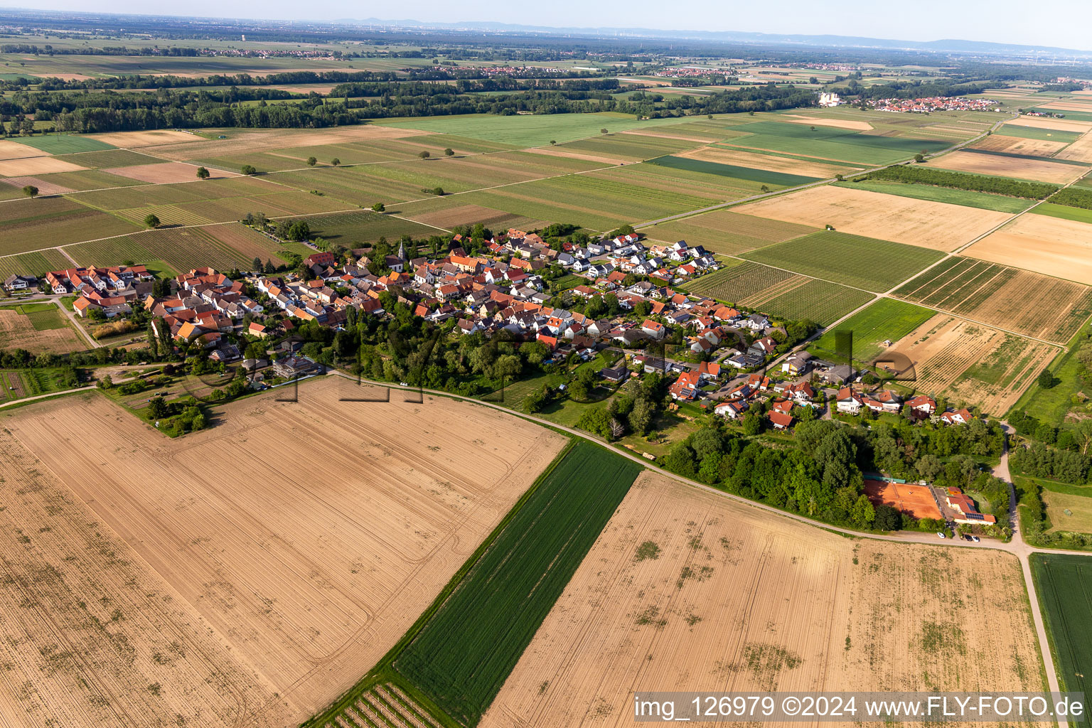 Kleinfischlingen in the state Rhineland-Palatinate, Germany from the drone perspective