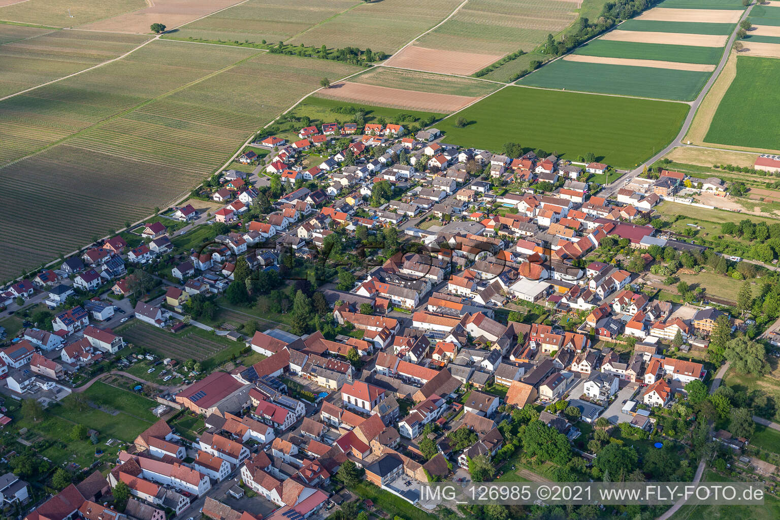 District Duttweiler in Neustadt an der Weinstraße in the state Rhineland-Palatinate, Germany from above