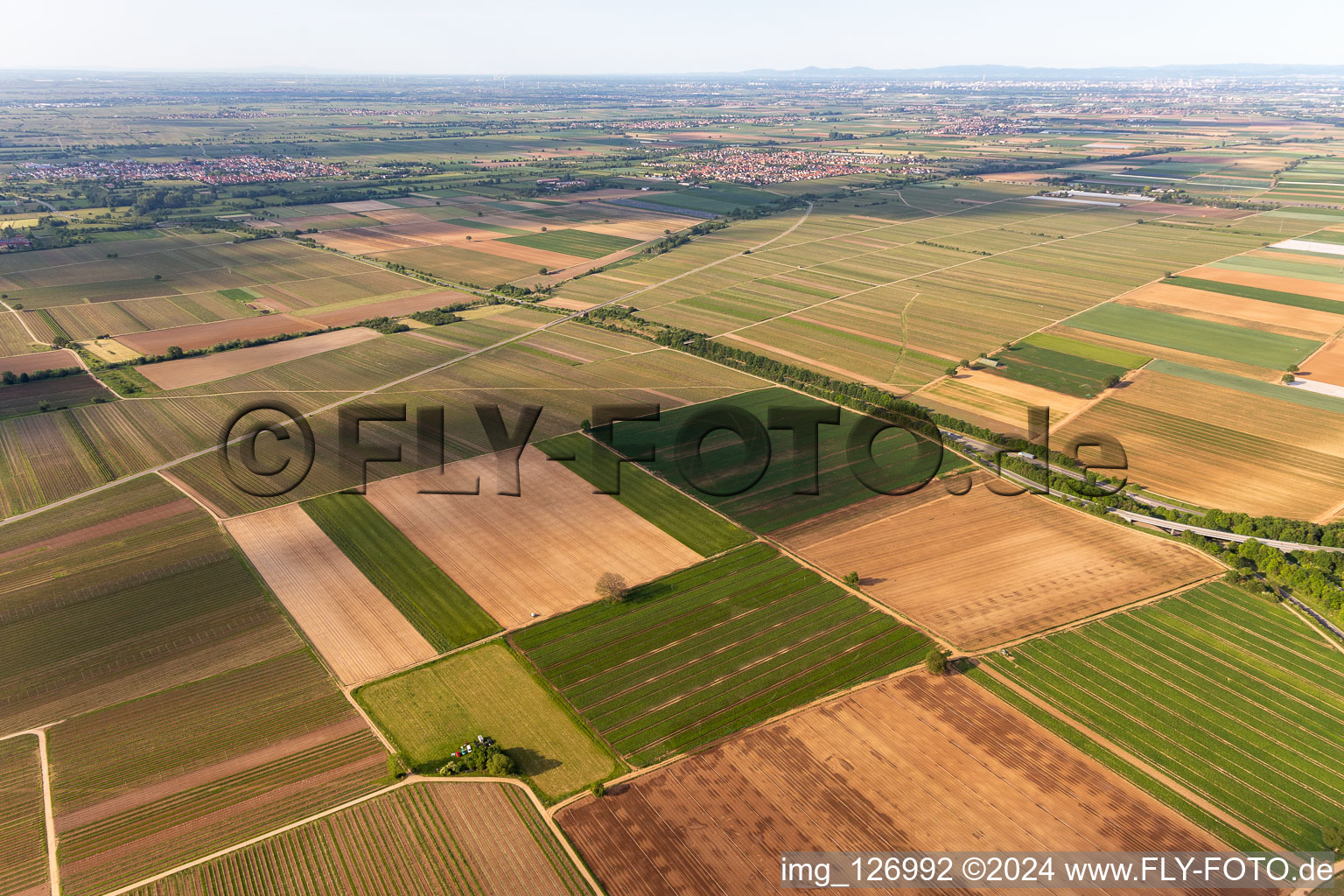 Mecke - INFO: Airfield of the Paramotor Friends Palatinate in Meckenheim in the state Rhineland-Palatinate, Germany