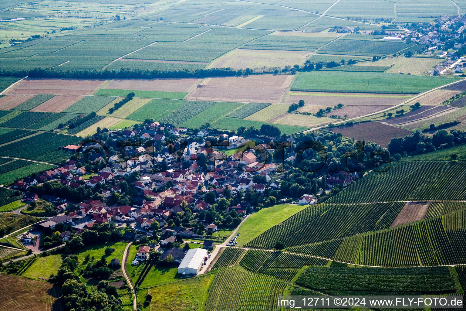 Drone image of Großkarlbach in the state Rhineland-Palatinate, Germany