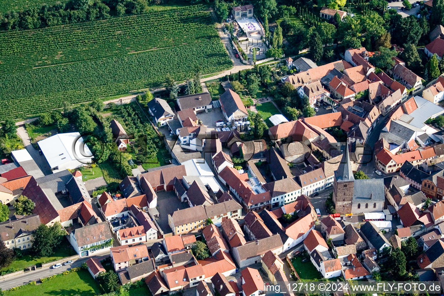 Aerial view of Großkarlbach in the state Rhineland-Palatinate, Germany