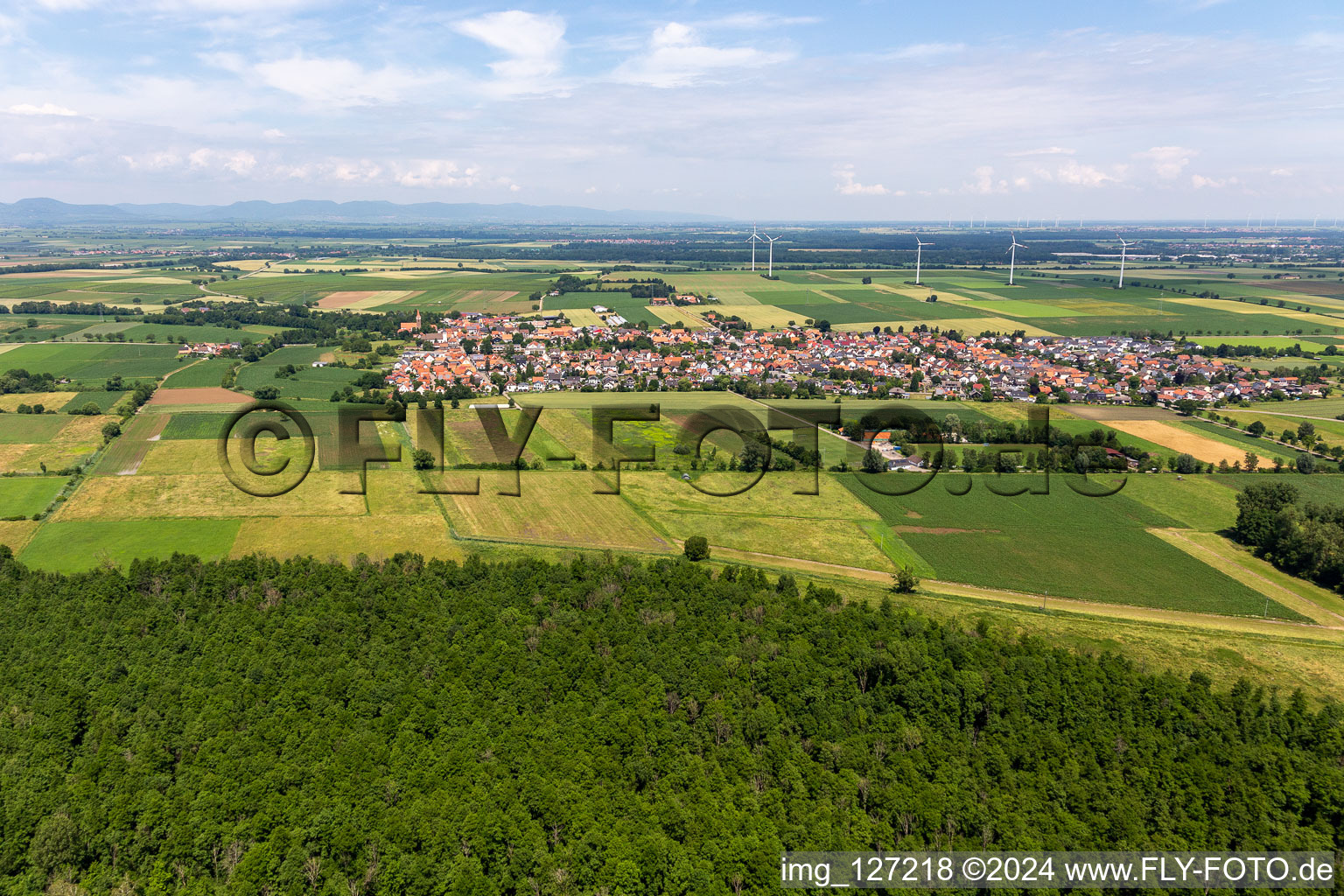 Aerial photograpy of Minfeld in the state Rhineland-Palatinate, Germany