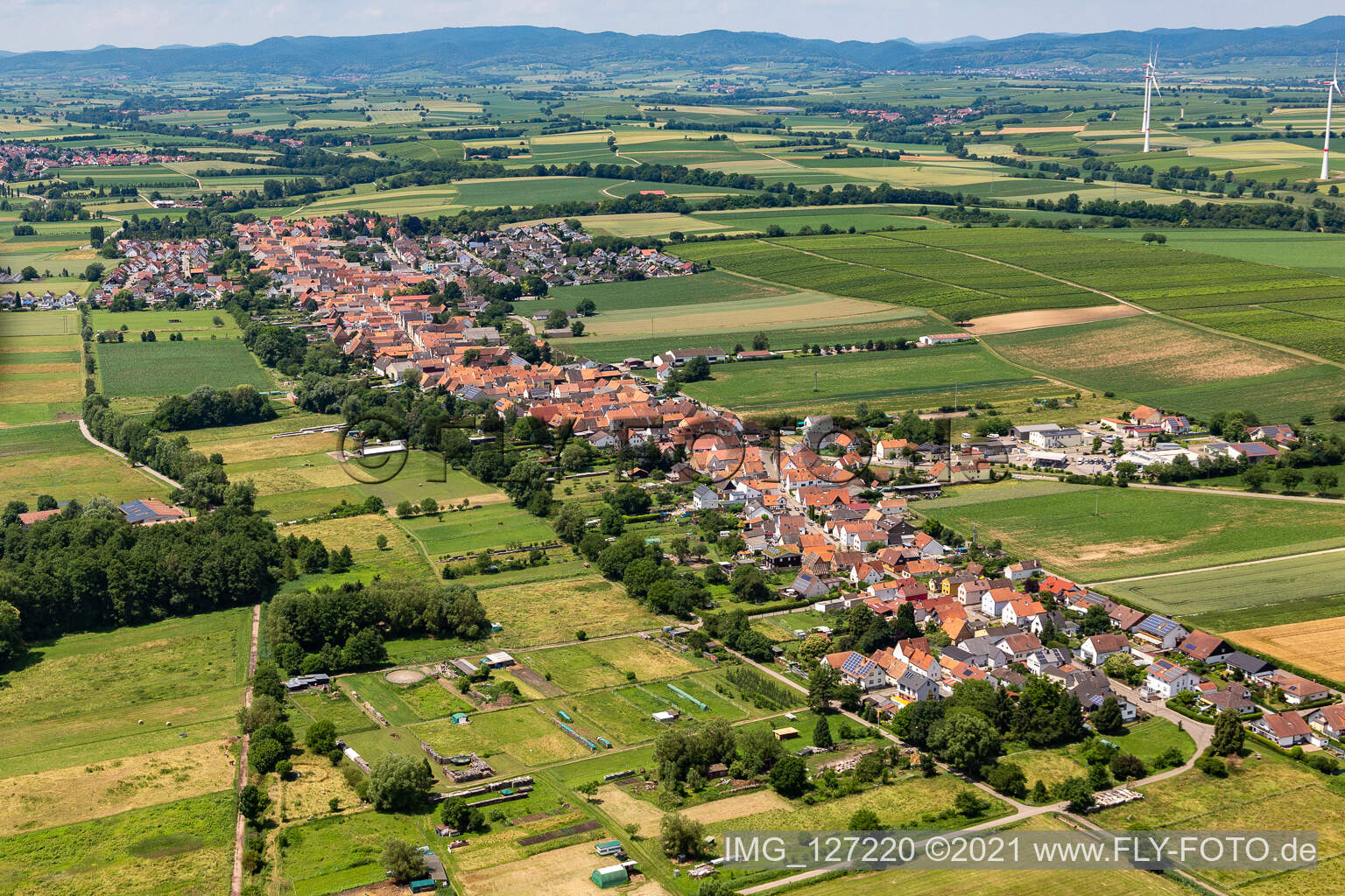 Village view on the edge of agricultural fields and land in Freckenfeld in the state Rhineland-Palatinate, Germany