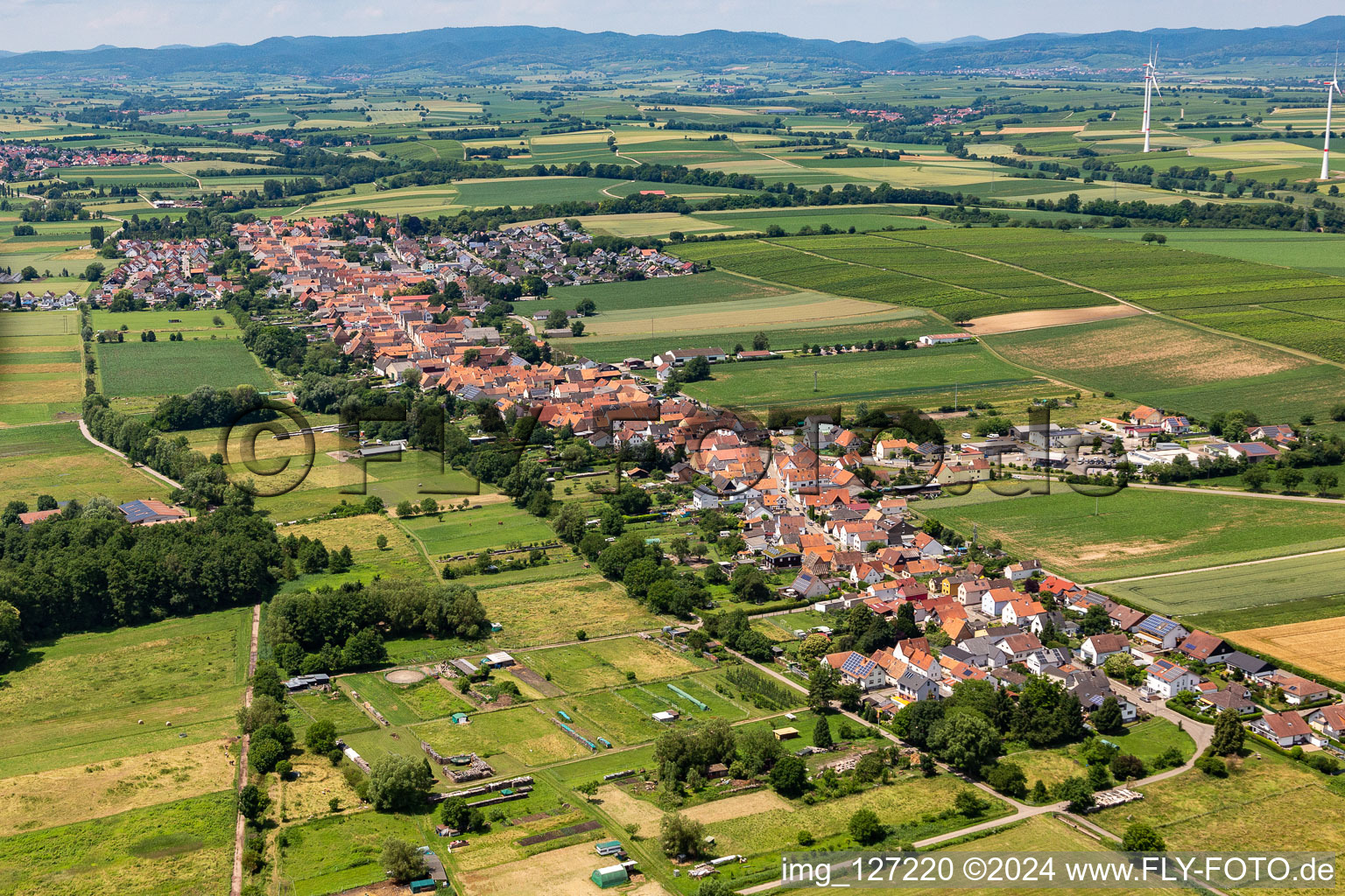 Village view on the edge of agricultural fields and land in Freckenfeld in the state Rhineland-Palatinate, Germany