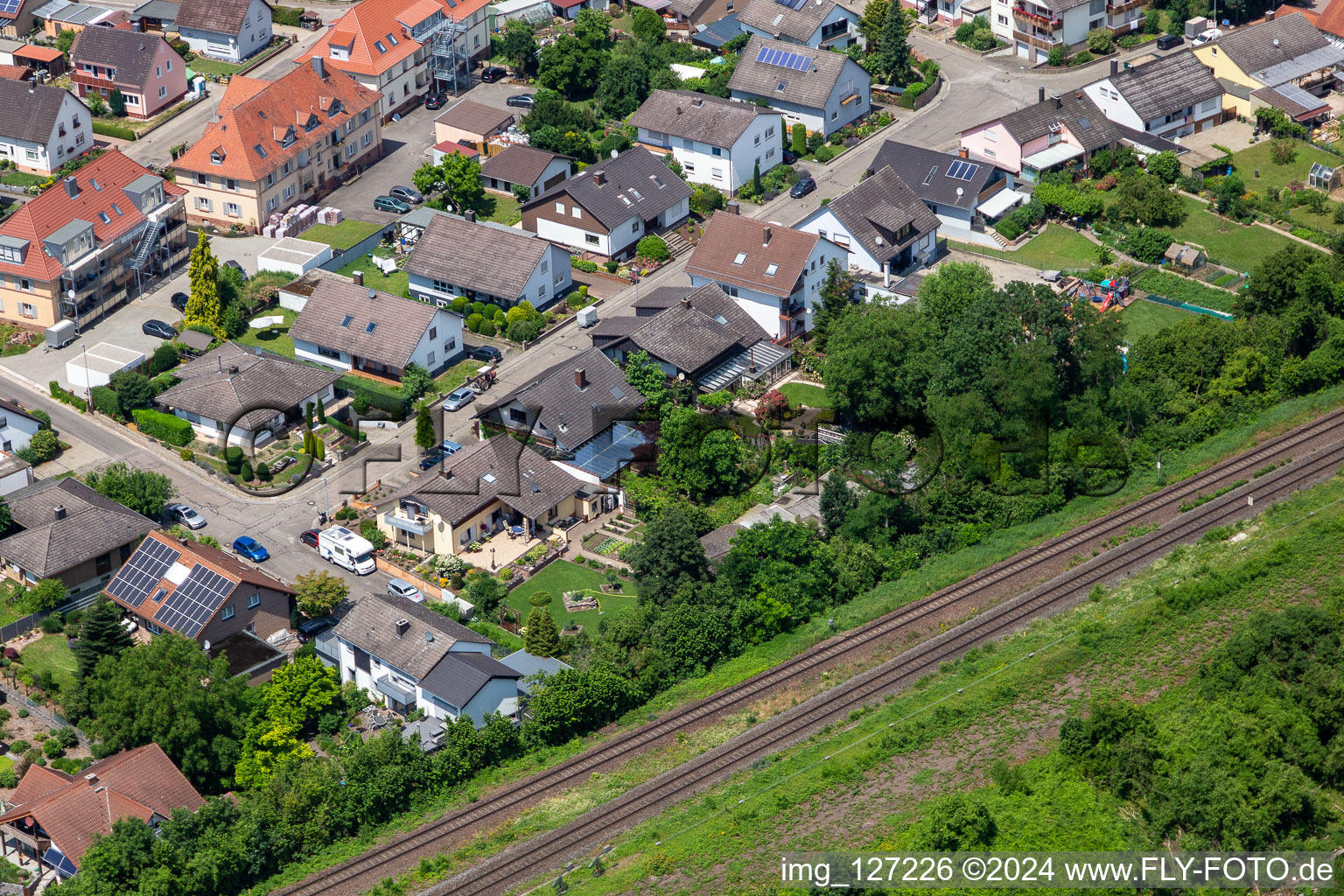 Oblique view of In the rose garden in Winden in the state Rhineland-Palatinate, Germany