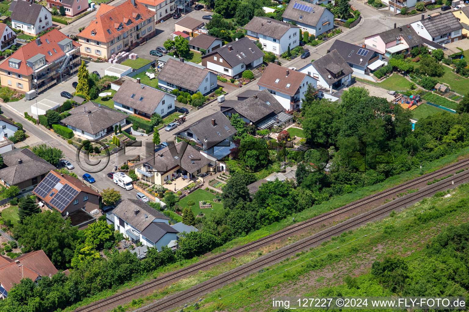 In the rose garden in Winden in the state Rhineland-Palatinate, Germany from above