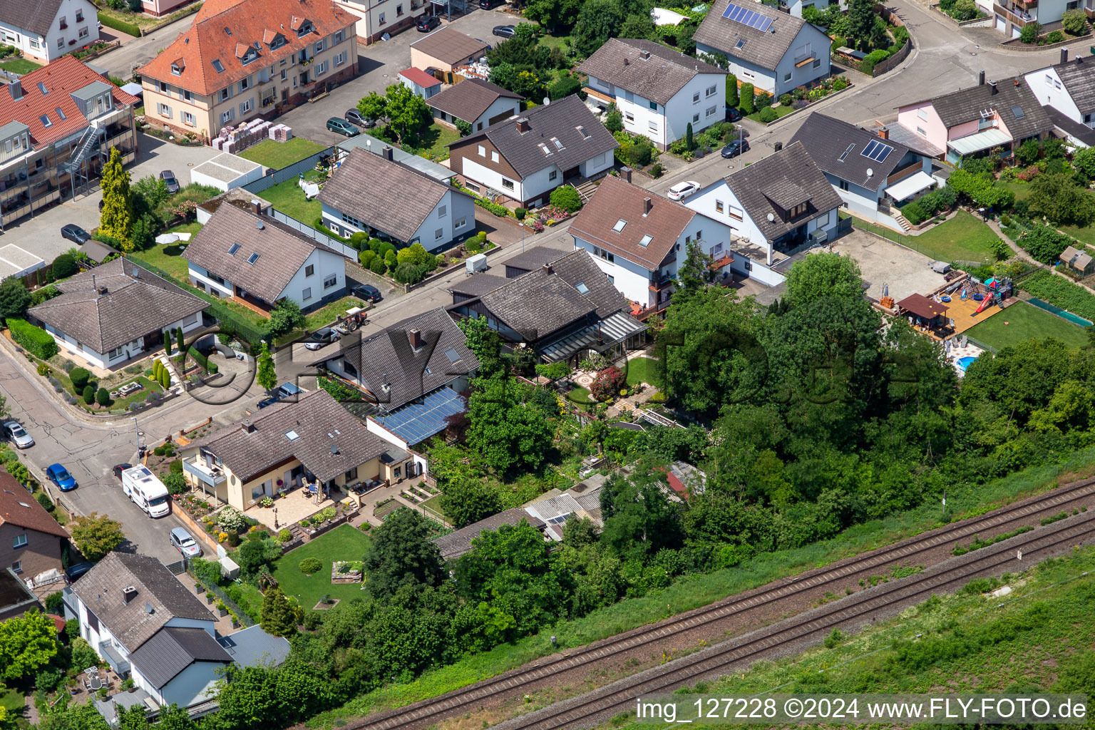 In the rose garden in Winden in the state Rhineland-Palatinate, Germany out of the air