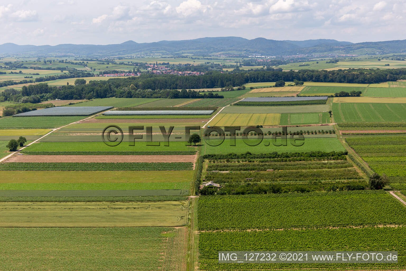 Aerial view of Eier-Meier orchard in the district Mühlhofen in Billigheim-Ingenheim in the state Rhineland-Palatinate, Germany