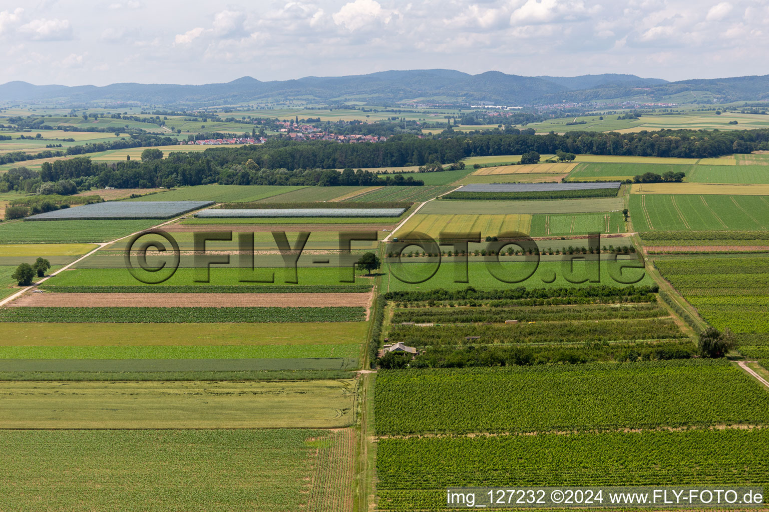 Aerial view of Eier-Meier orchard in the district Mühlhofen in Billigheim-Ingenheim in the state Rhineland-Palatinate, Germany