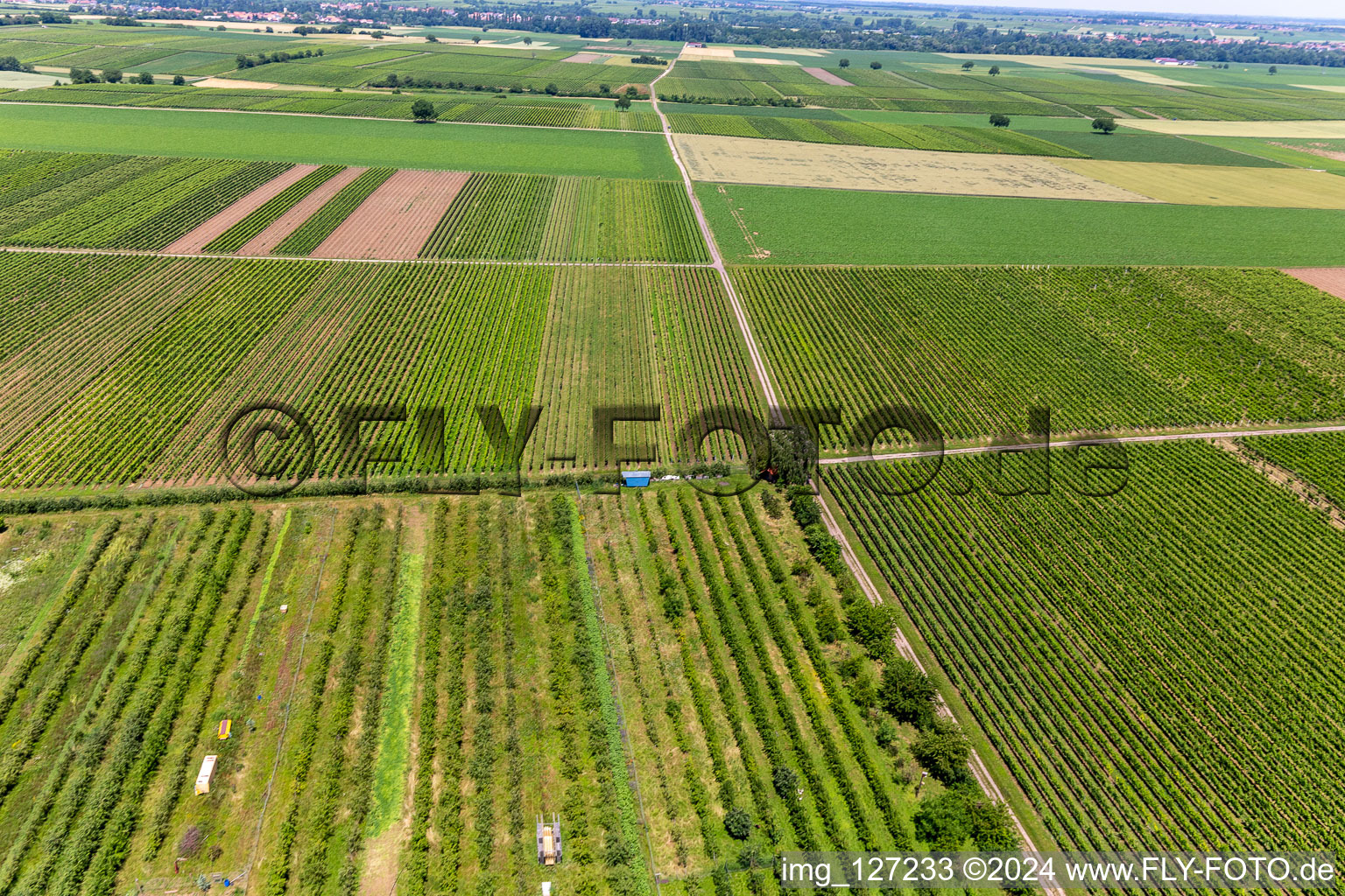 Aerial photograpy of Eier-Meier Fruit Plantation in the district Mühlhofen in Billigheim-Ingenheim in the state Rhineland-Palatinate, Germany