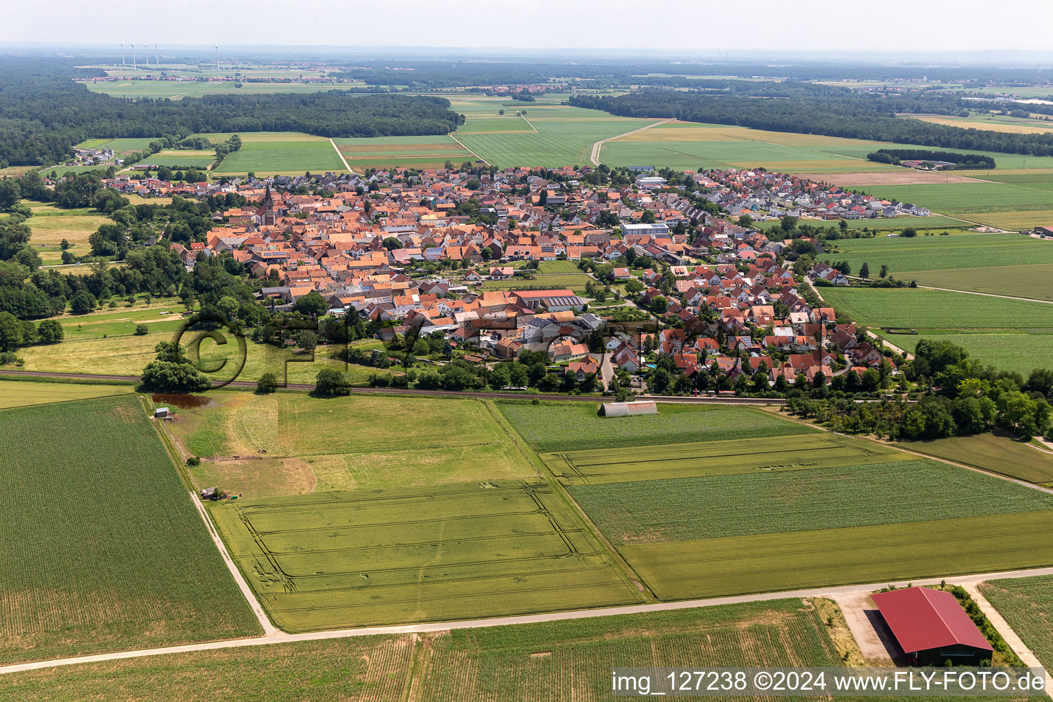 Village view on the edge of agricultural fields and land in Steinweiler in the state Rhineland-Palatinate, Germany