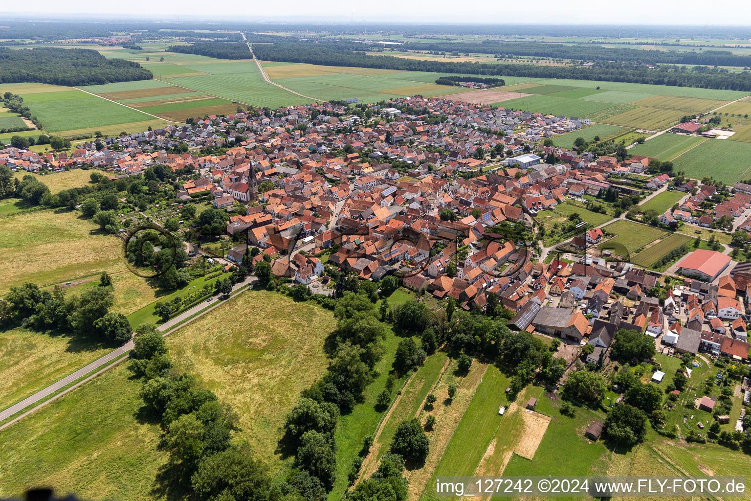 Bird's eye view of Steinweiler in the state Rhineland-Palatinate, Germany