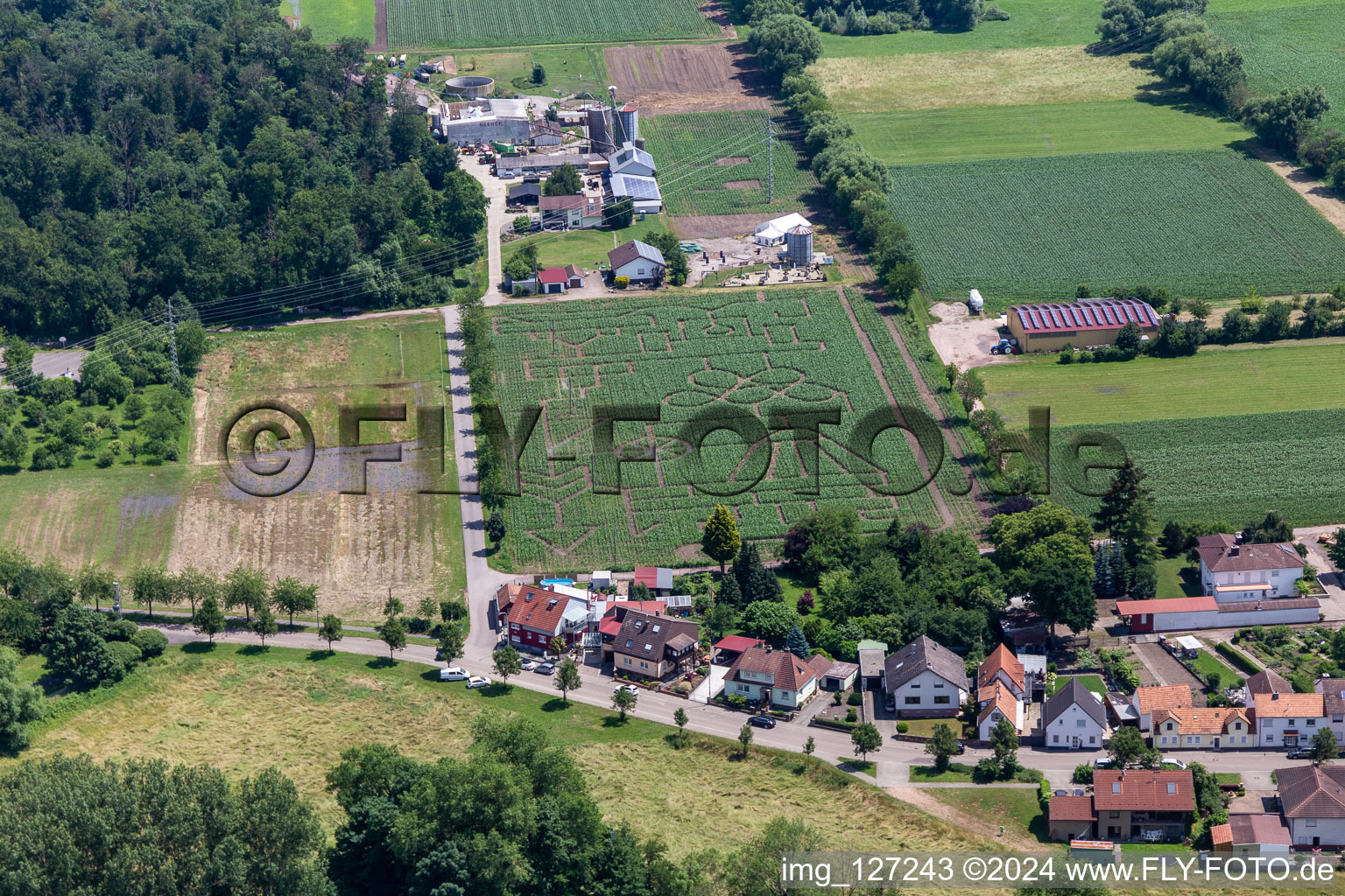 Corn maze & beach lounge Steinweiler Seehof in Steinweiler in the state Rhineland-Palatinate, Germany